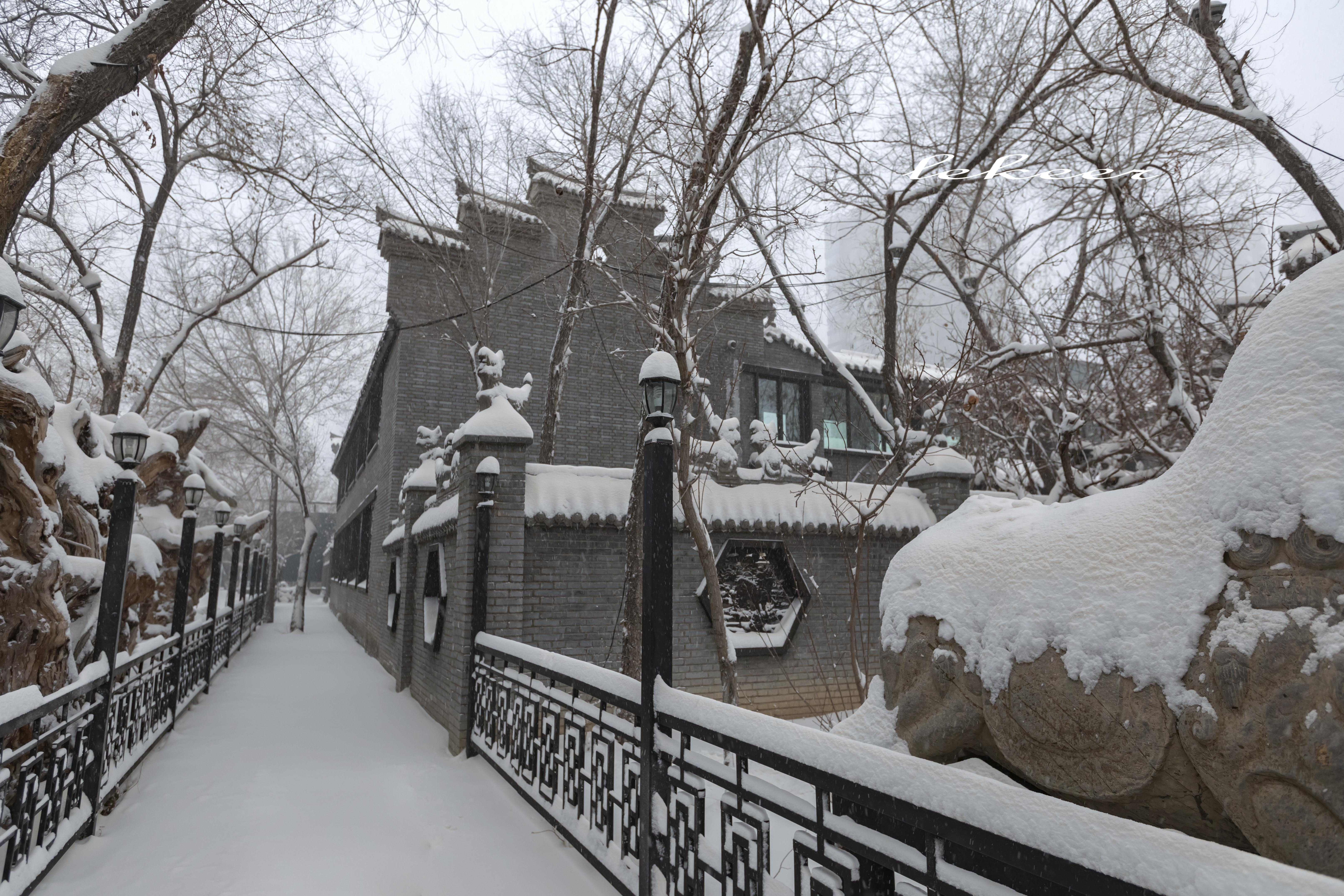 乌鲁木齐灯草沟滑雪,冰雪大世界滑雪体验