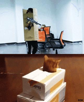 明星大撞脸你看哪个最像,明星撞脸对比