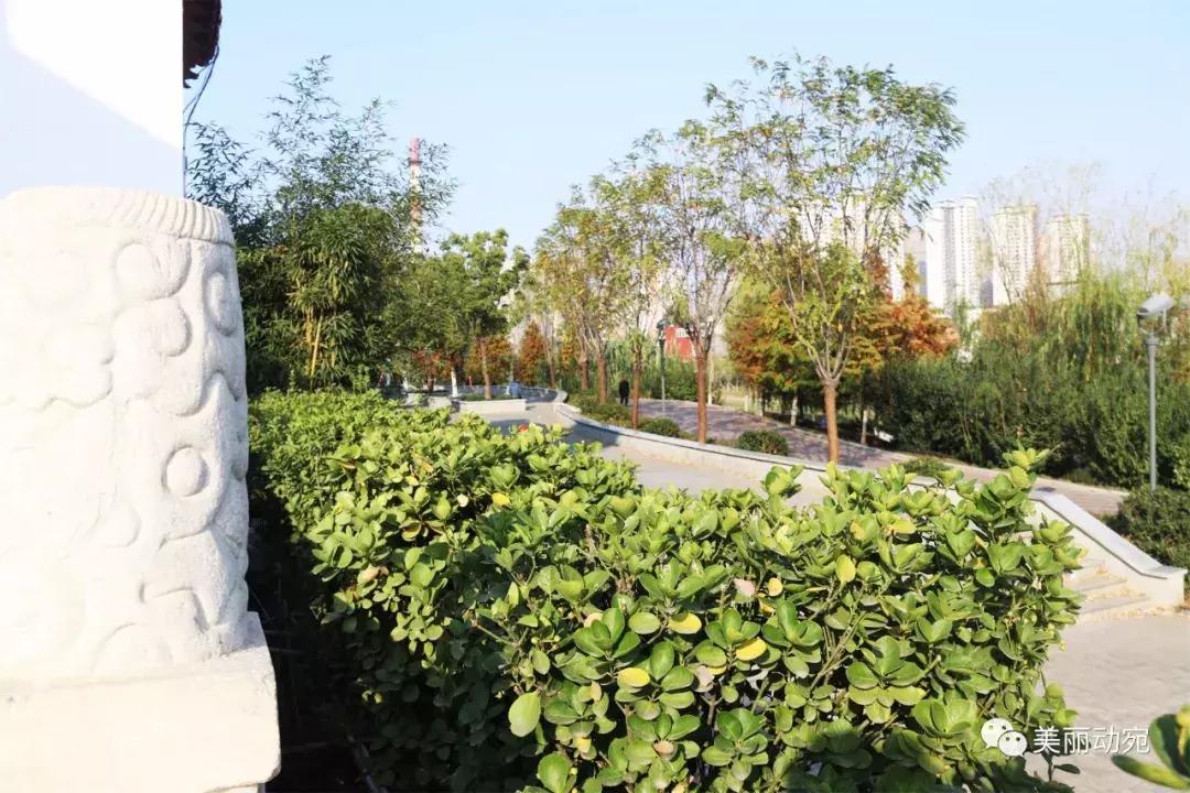 这本书,世上只有一本;这个人,也再也不会出现