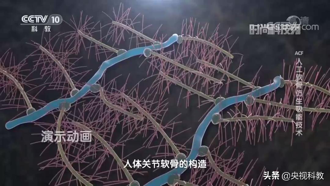 打球打到腿疼会长高吗,打球打到腿疼怎么办