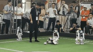 今天去这里的天津人都被逗乐了！没去的快看！