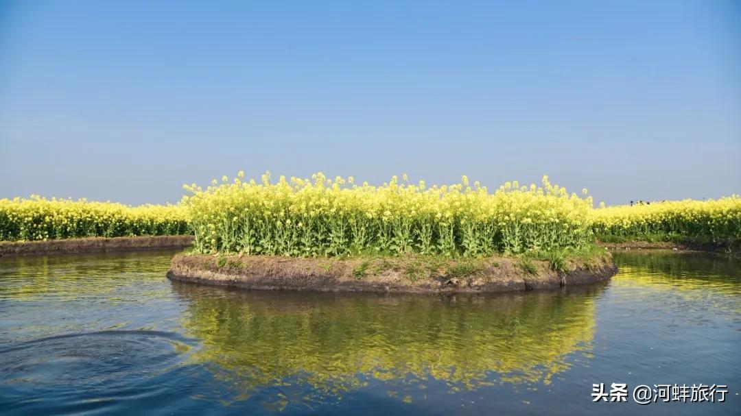 江苏省兴化市垛田,兴化市到千垛油菜花景区怎么走