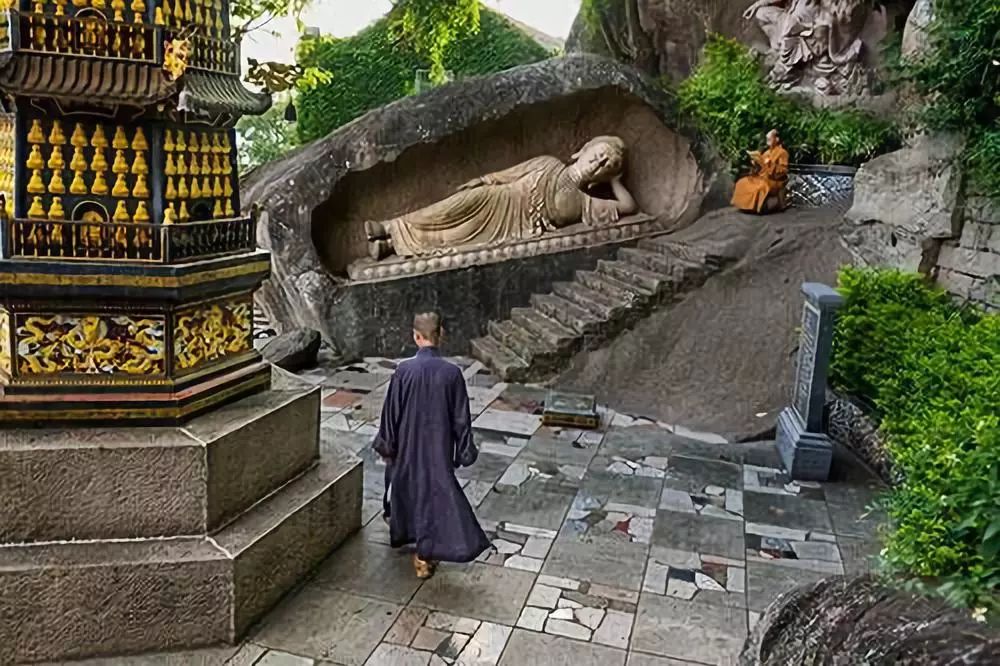 徕卡sl2直播,徕卡sl2-s和徕卡sl2哪个好