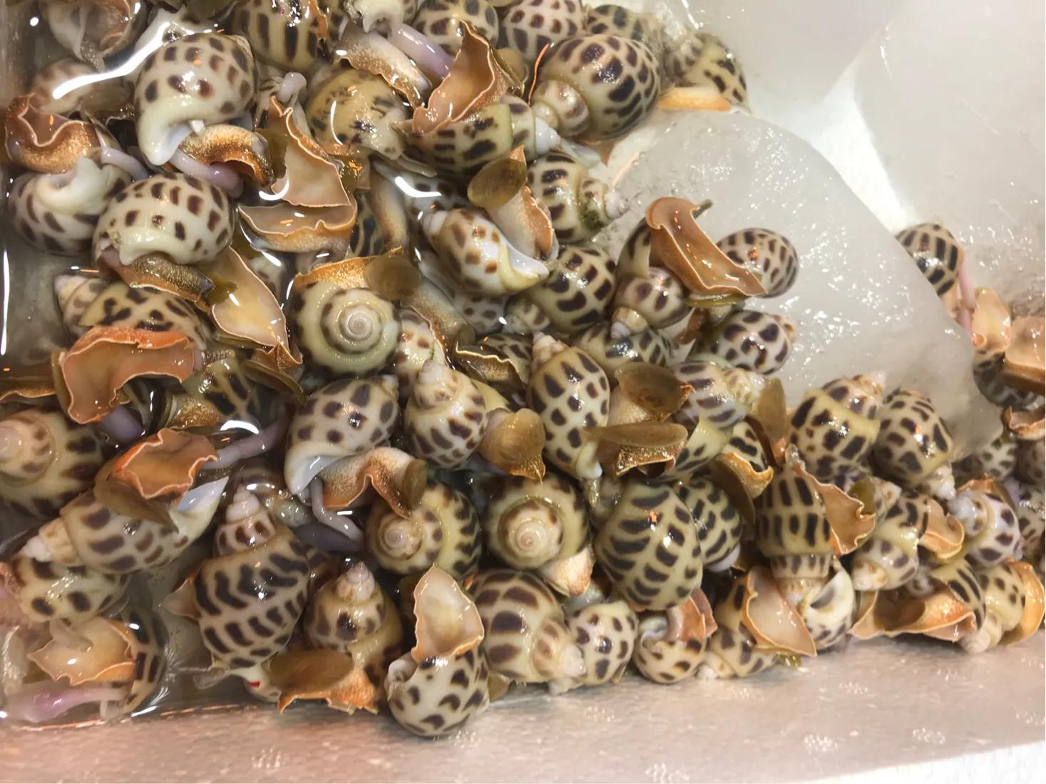 珠海斗门哪里海鲜便宜,吃货必去的海鲜城市