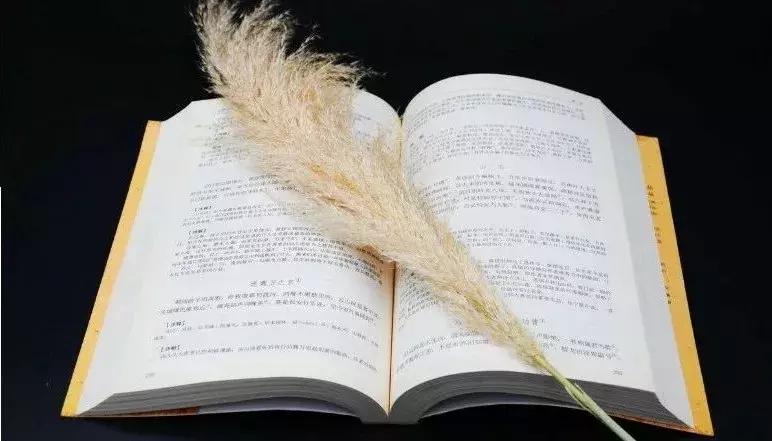 鏍¤姳姣曚笟鍚庡珌缁欏閲戦珮瀵屽竻,鏍¤姳瀚佺粰浜嗗瘜浜屼唬鍚庢倲