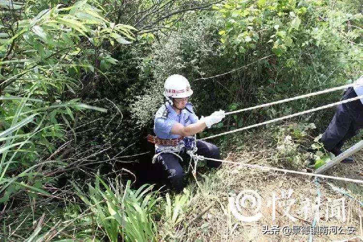 法医悬疑系列电影,10部好看的法医悬疑电影