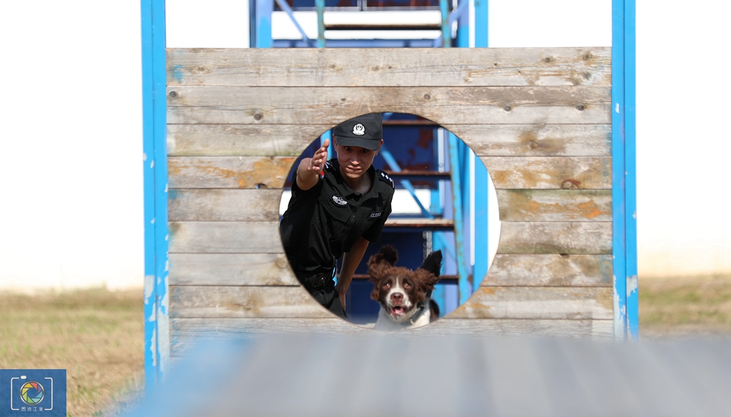 警犬训犬师的工作和生活,如何成为一名合格的警犬训导员