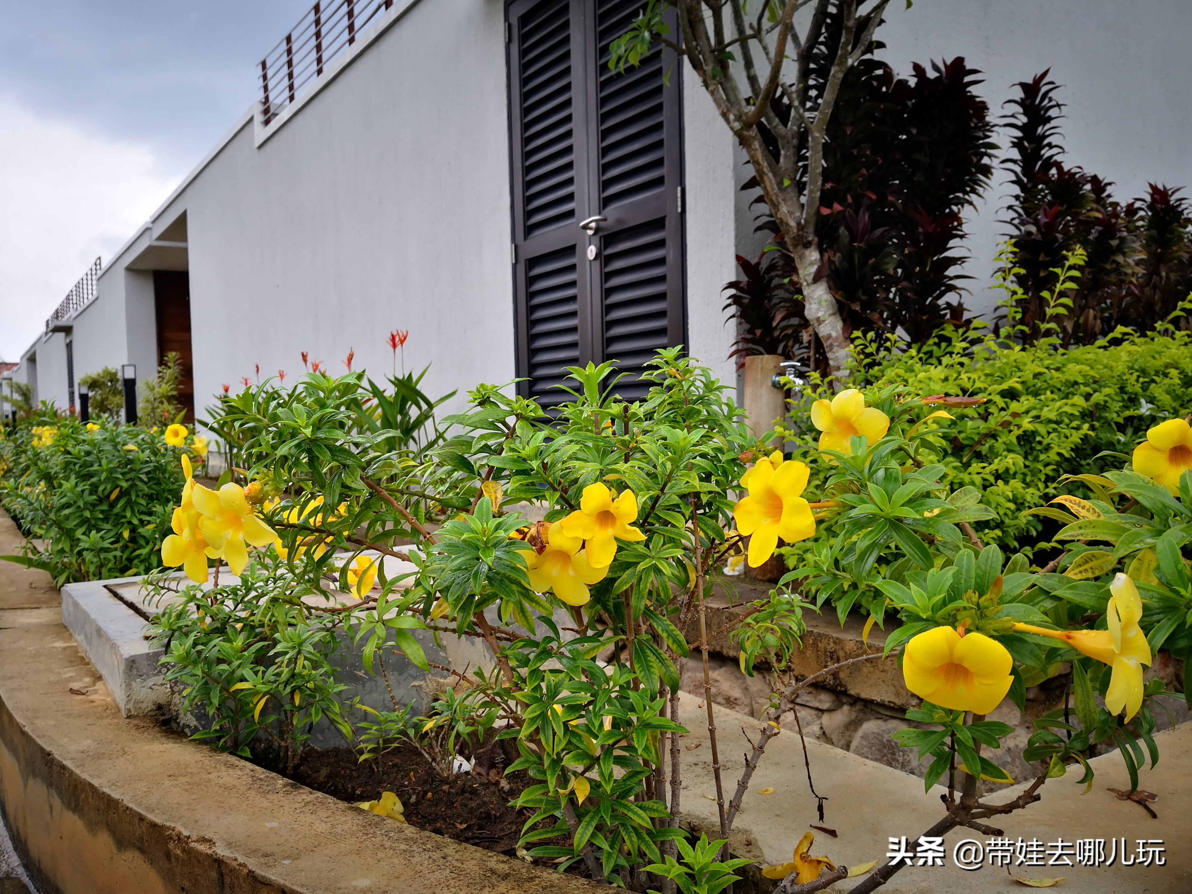 民丹岛到底好玩吗,民丹岛属于什么档次
