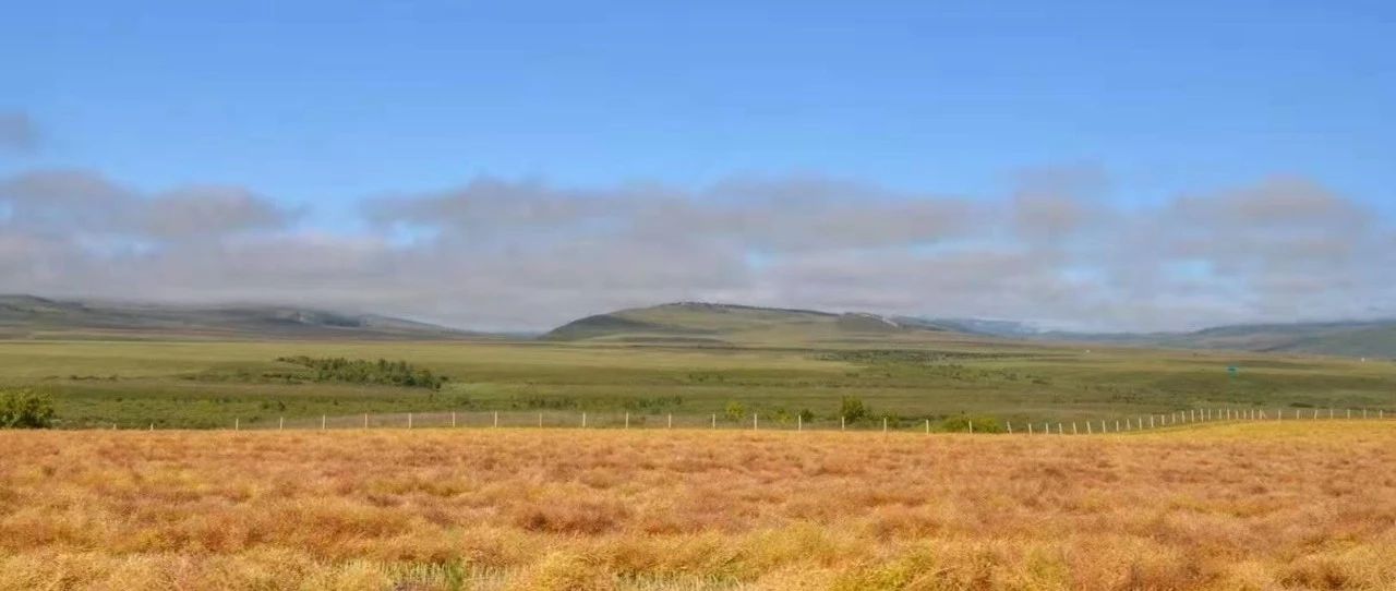 「深度」担保公司债券担保效力哪家强？