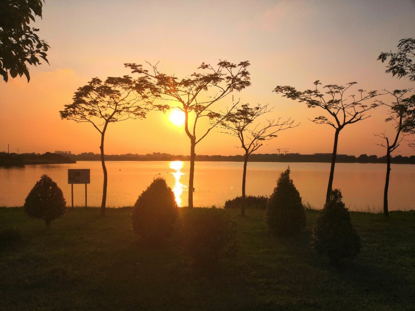 真正不求回报的心态,做好自己该做的不要求回报