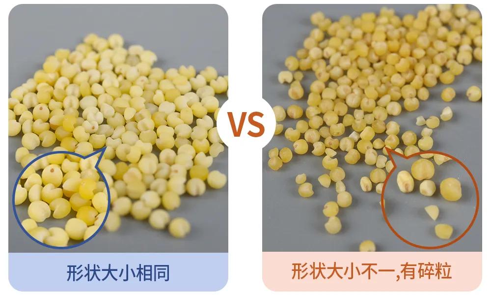 黄小米N+1种网红吃法,专治夏季没胃口