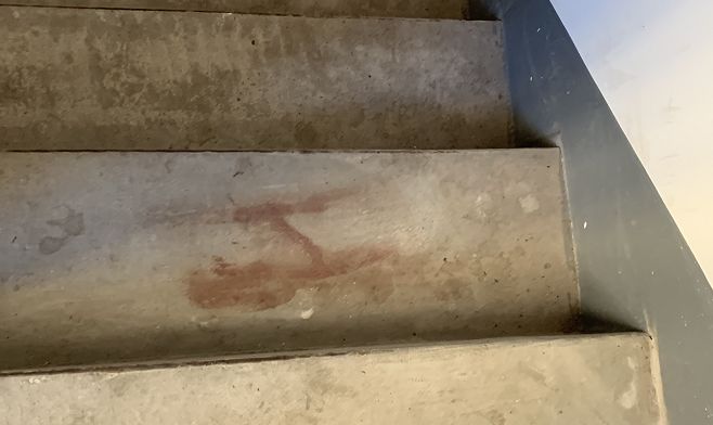 怒！长春这个小区疑似有人杀猫，尸体被丢垃圾桶！提醒猫主注意