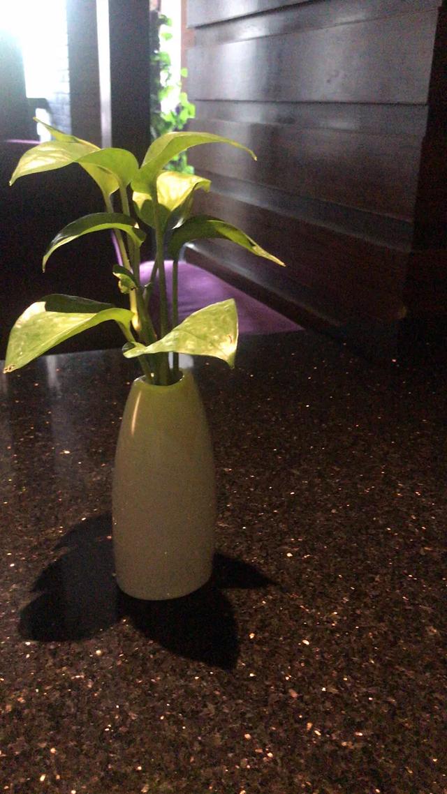 两岸咖啡新天地,两岸空间咖啡