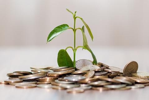 什么是基金净值和估值,什么是基金的支撑位