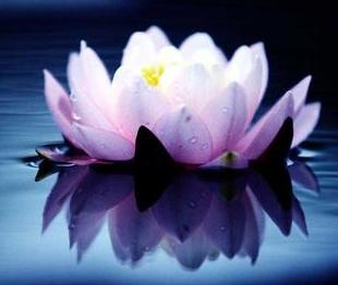 清明祭祖的几大禁忌,潍坊清明祭祖的方法和禁忌