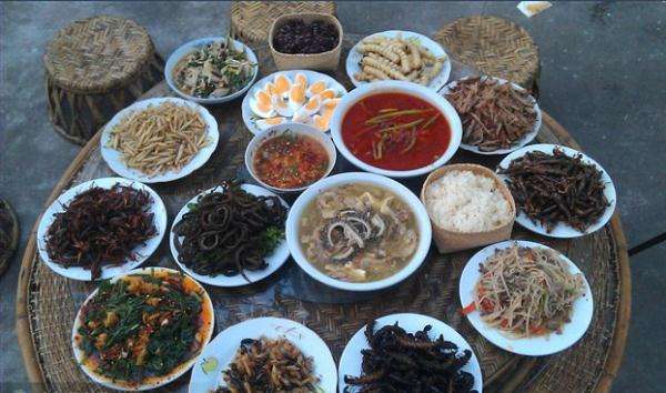 广东冷门小本生意创业项目,小本生意冷门创业项目收益