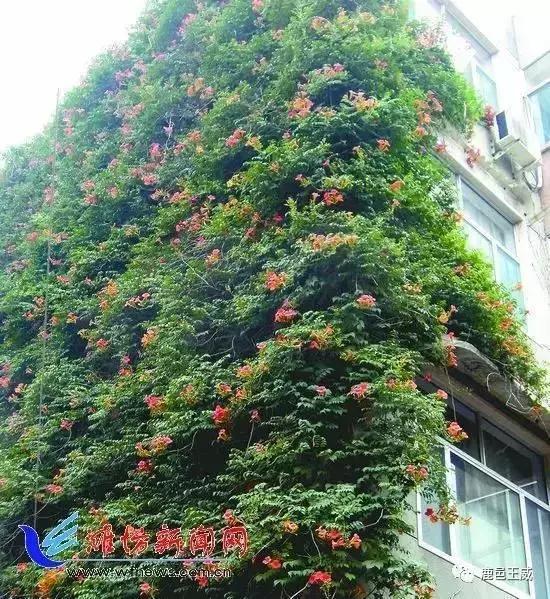 老城区改造维护,老城区市政改造工艺