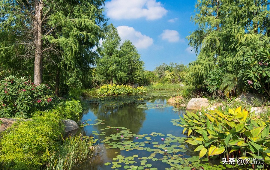 厦门海悦山庄酒店平面图,厦门海悦山庄旅游详解