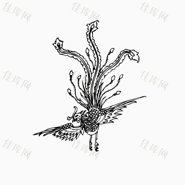 怎样画一个凤凰,怎么画个凤凰