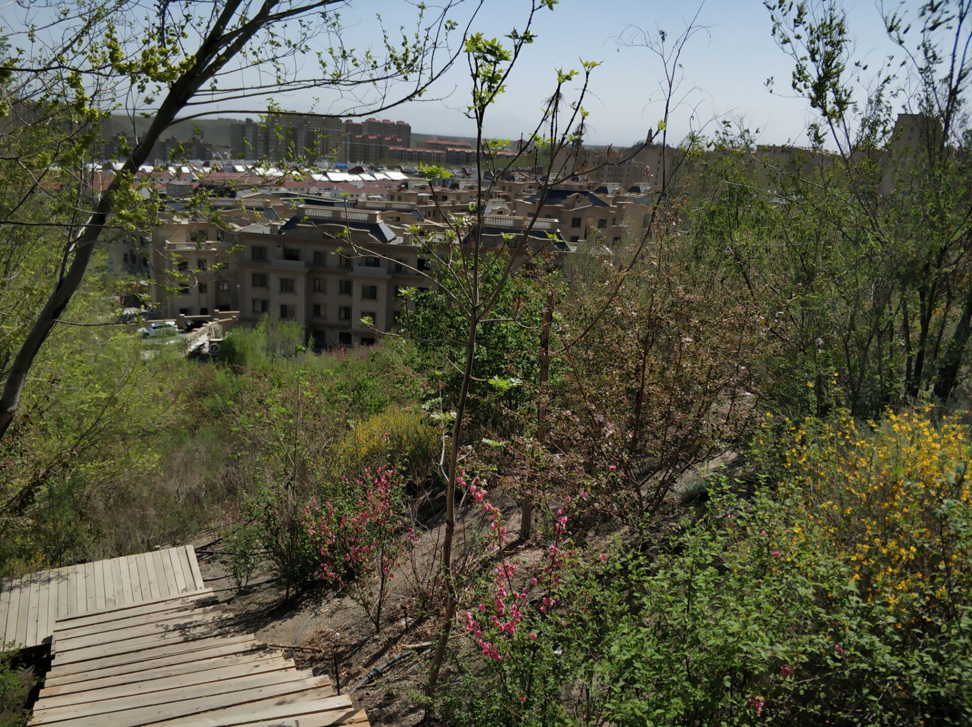 乌鲁木齐居然有这么漂亮的地方,乌鲁木齐周边森林公园在哪里