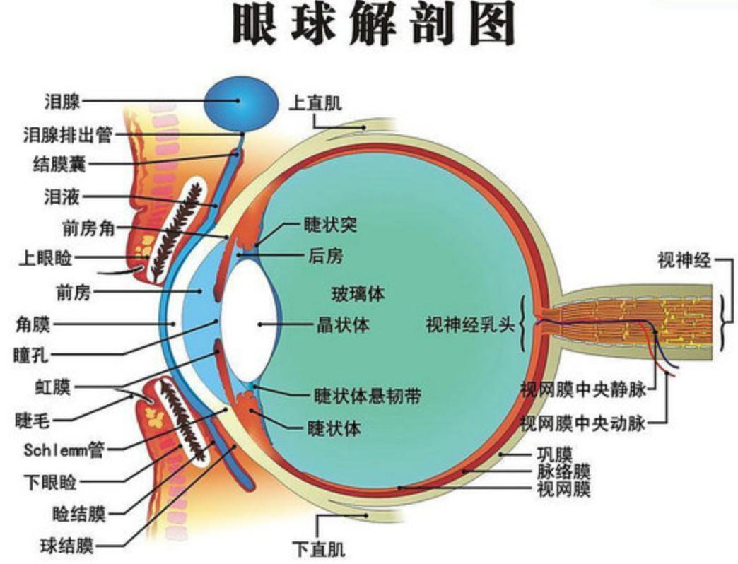 达尔文进化论对科学文明有影响吗,达尔文进化论产生什么影响