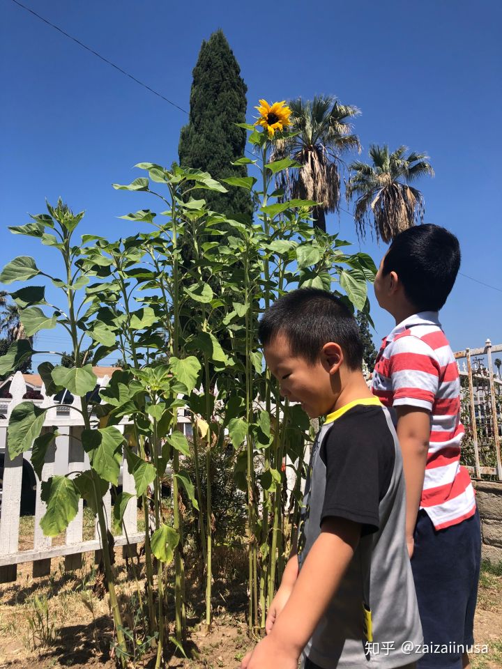 美国现在真实社会现状,美国社会真实的现状