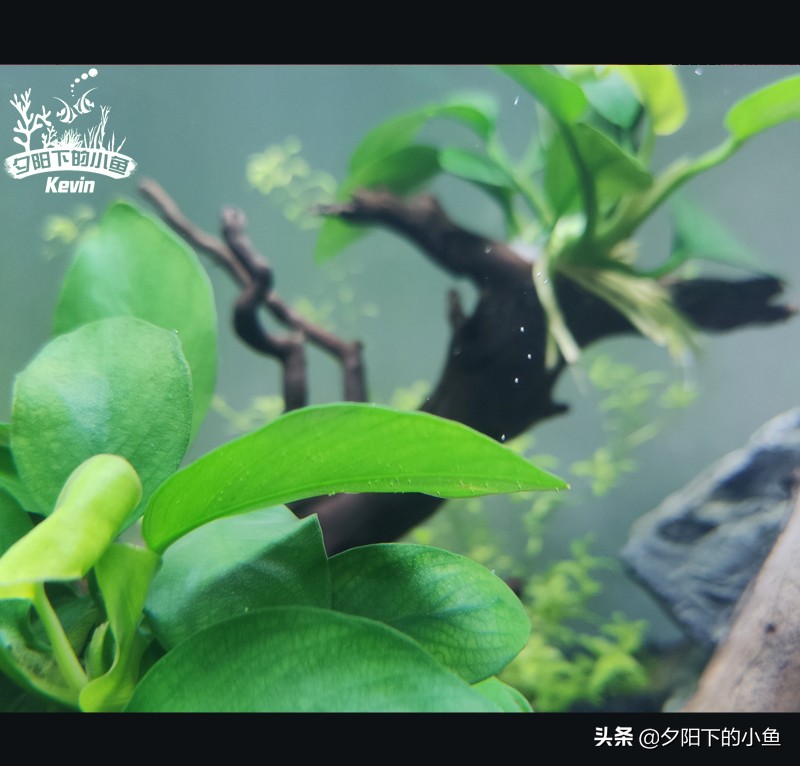 父子齐上阵全集,父子齐上阵完整视频