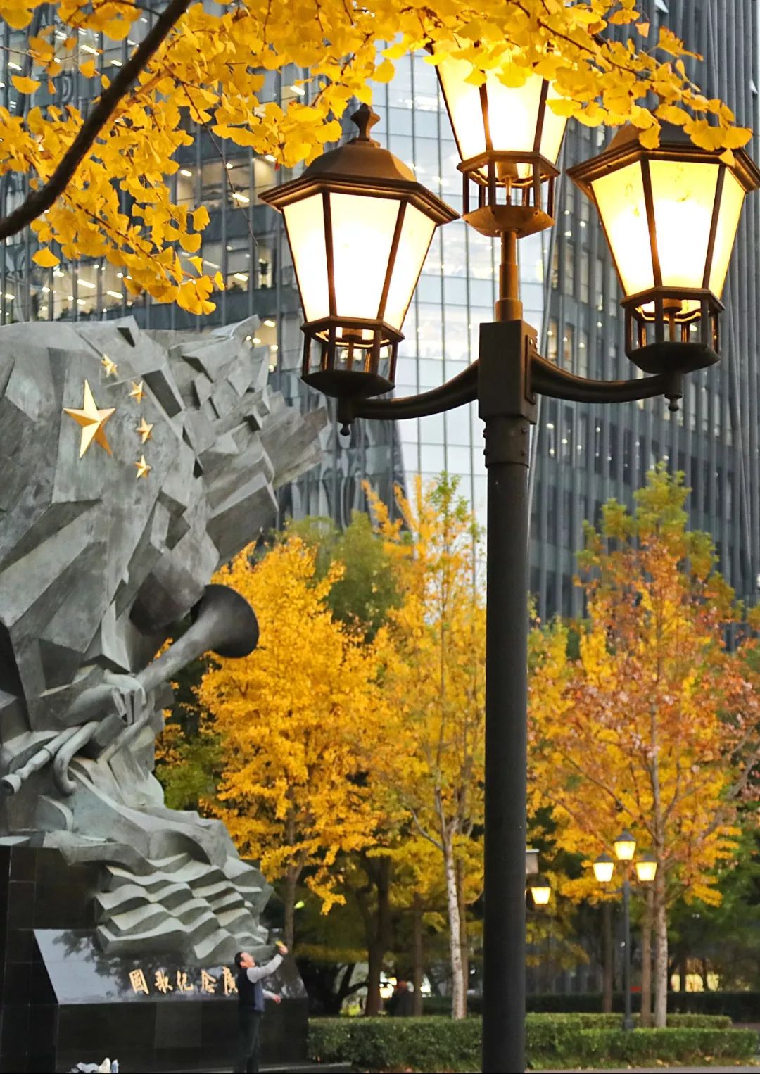 上海银杏叶打卡的地方,上海周边哪里有银杏叶