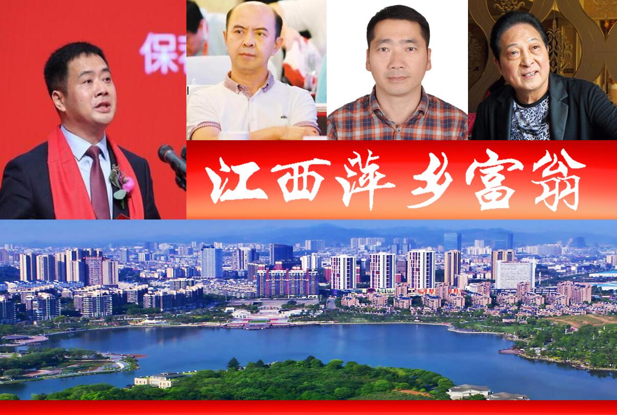 江西萍乡的十大富豪,萍乡本地十大富翁