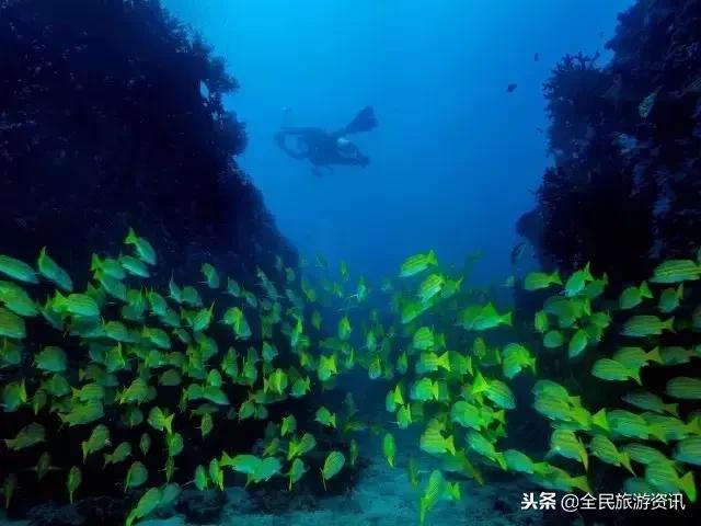 这个藏着绝美海滩和热气球的东南亚小国说走就走！