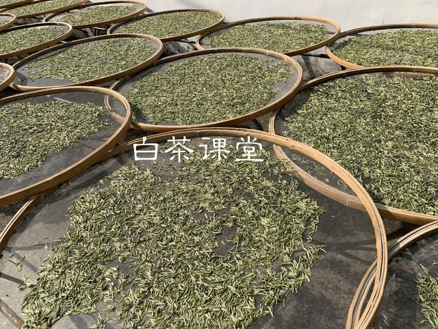 看完这六个问题你还敢迷茫吗,看完这六个问题你还再迷茫吗