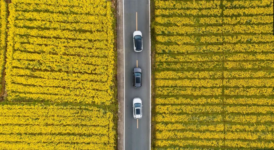 在最美春天，体验Jeep最新指南者