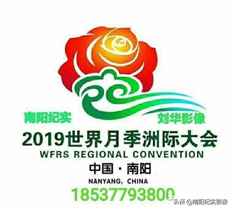 南阳市青少年足球锦标赛,南阳市青少年足球赛