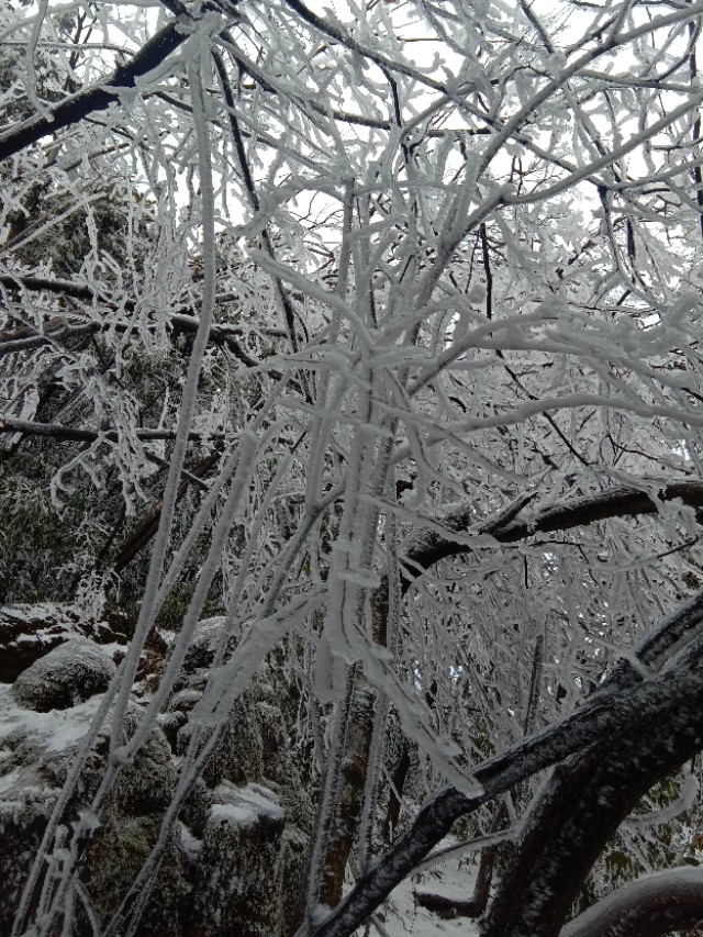 张家界天门山雪景,张家界天门山国家森林公园