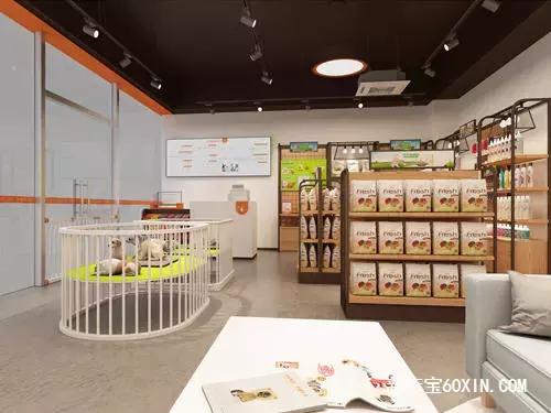 宠物店需要什么条件,重庆开宠物店需要什么条件