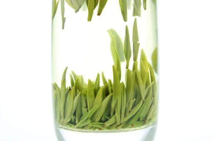 贵州春茶上新,贵州春茶排行榜每一款都鲜气十足