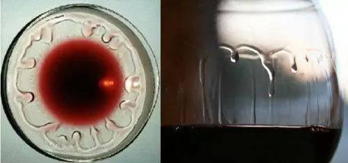 红酒入门100个口诀,红酒入门如何挑选红酒品牌