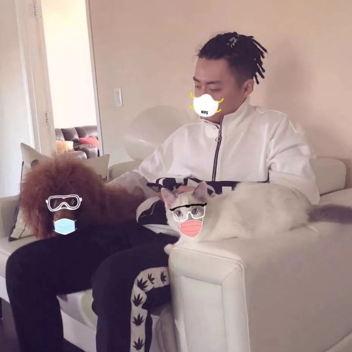 奥迪s5皮卡车,奥迪s5换皮卡