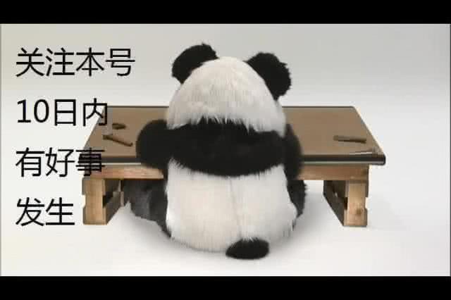 中国国足归化最新消息,国足新闻归化利好