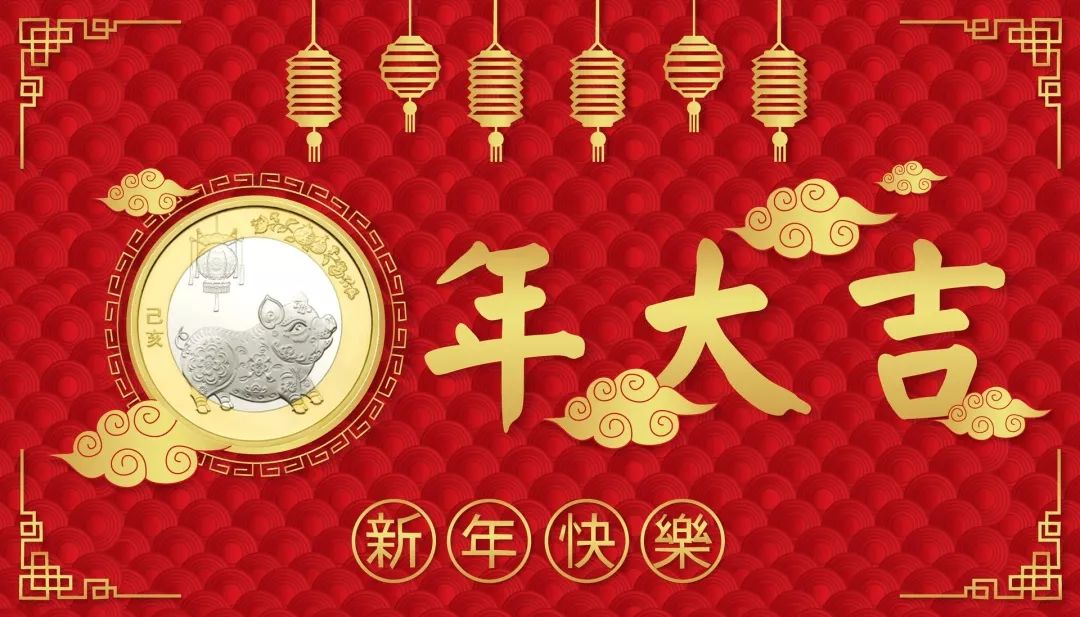 欣赏猪币，美美猪年！