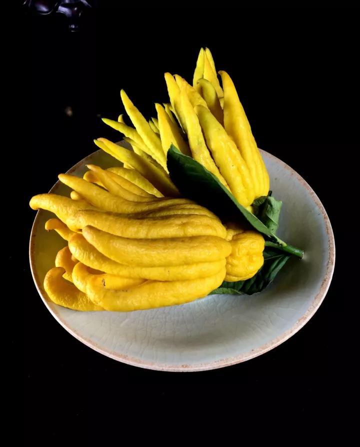 佛手只长叶不开花,佛手只有一种果子