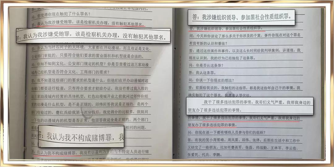 公安局长是黑老大电视剧,公安局长是黑老大的电视剧