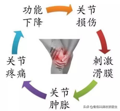 膝关节痛是小事再不重视就晚了,辟谣半月板三度损伤