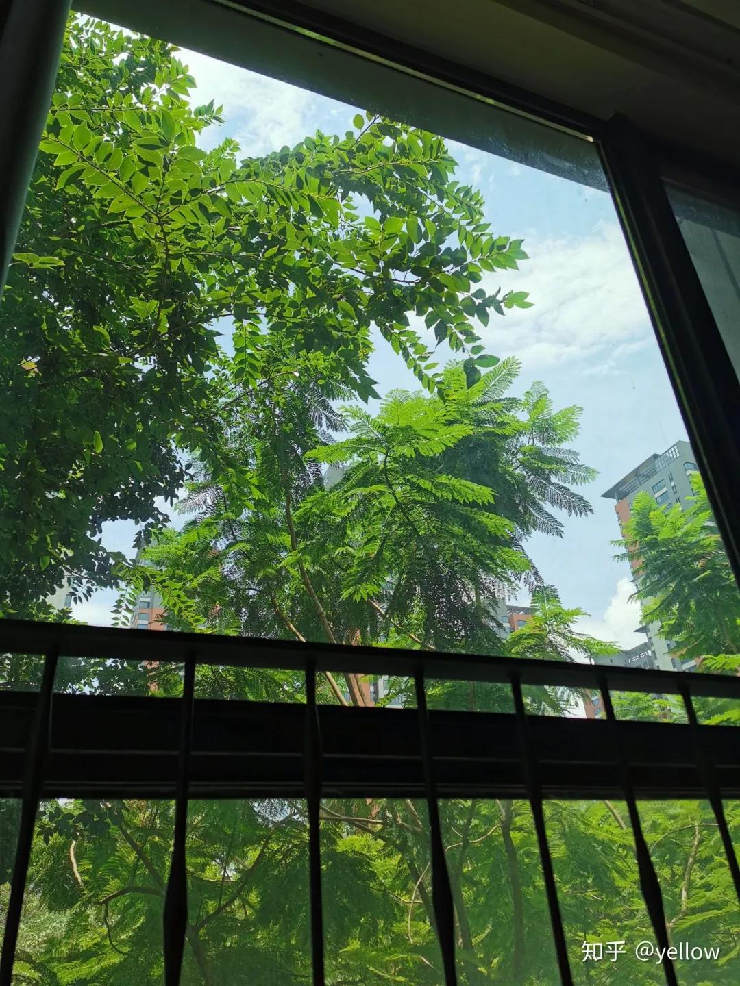 为啥住二楼后悔,住高层二楼真实感受