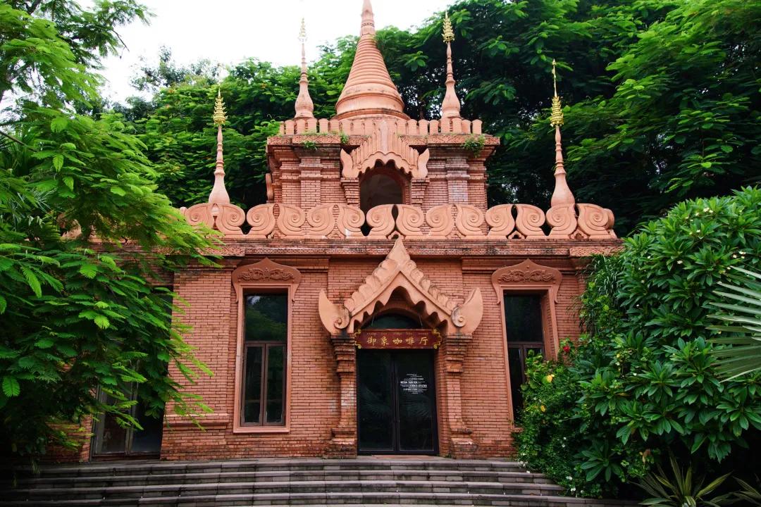 打卡中老铁路,曼听公园网红打卡景点