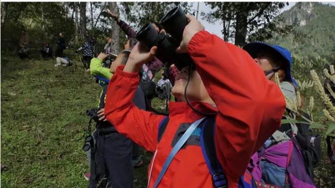 如何在村里建立一个公益基金,集体出资农户认养村庄美化新模式