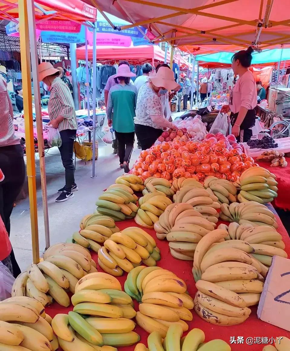 在农村没工作干什么可以赚钱,农民不去打工怎么赚钱