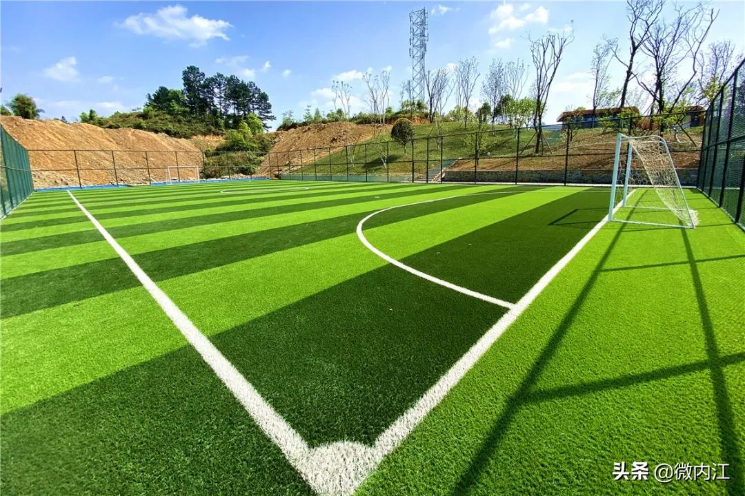 内江大洲广场足球场,内江新足球运动场