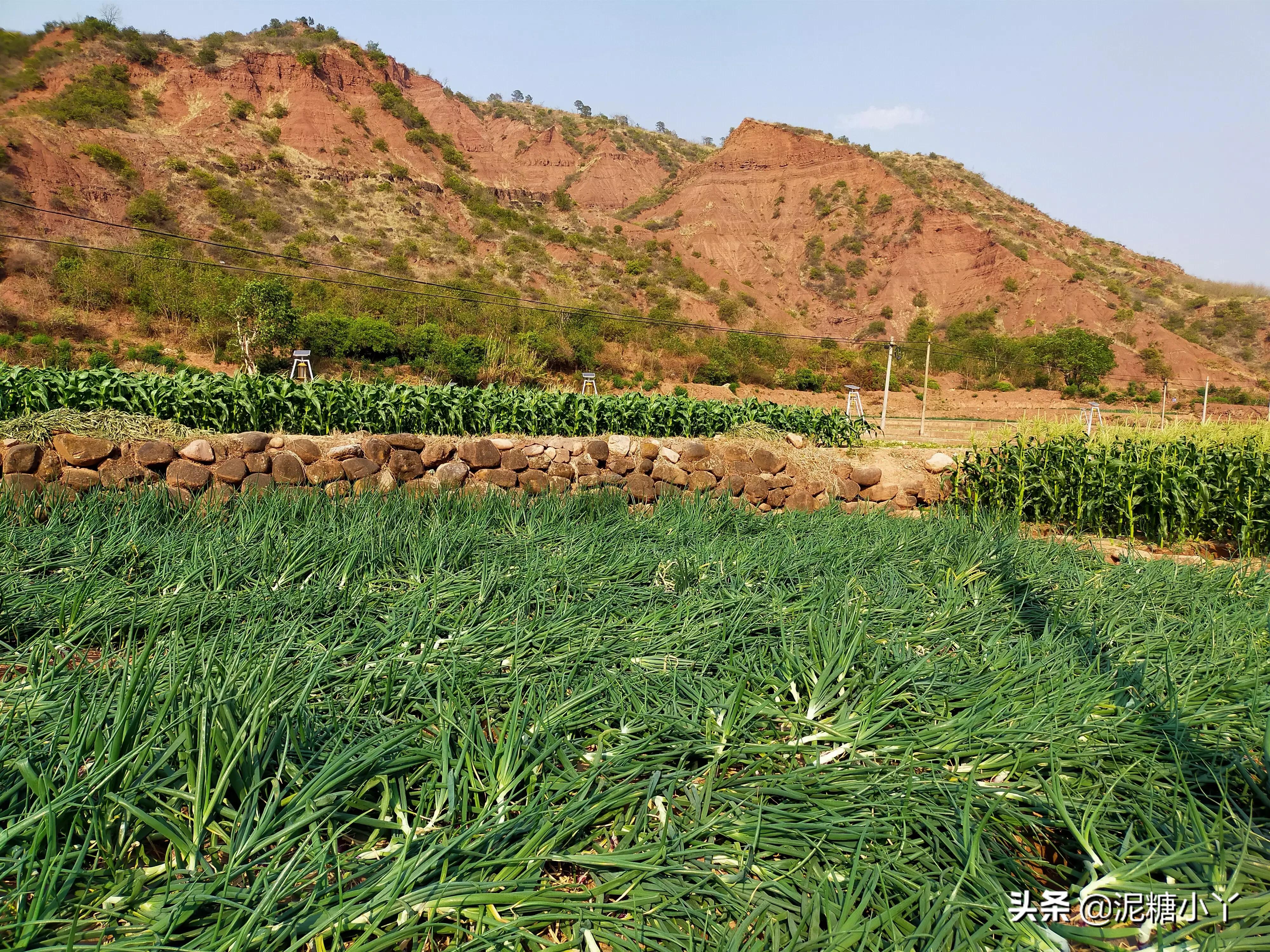 在农村没工作干什么可以赚钱,农民不去打工怎么赚钱