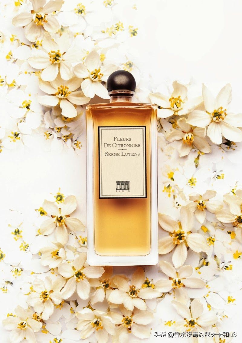 麝香橙花香水,比较果香的香水推荐